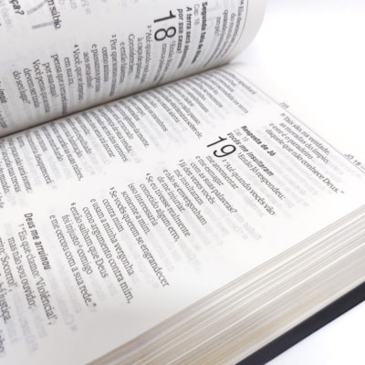 image_75d93d70-9d2f-42a4-a9b2-c2473228808a