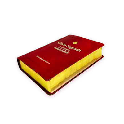 image_a57cea82-fe56-4136-95b6-664a0849216d