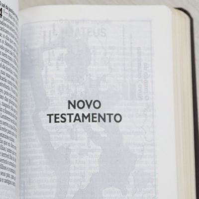 image_de434068-f738-4389-9252-7f1fabf59dd4