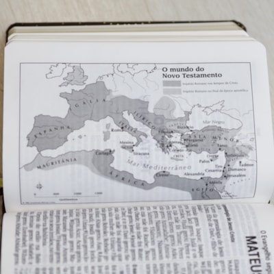 image_91cdf845-2233-481e-9c40-dfaeb21c495f