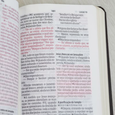 image_b6e6efce-7d07-4e1f-aa5a-e784271774e5