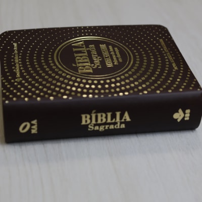 image_95bccbe8-8dc5-4bd1-b7a8-d804a88e858b