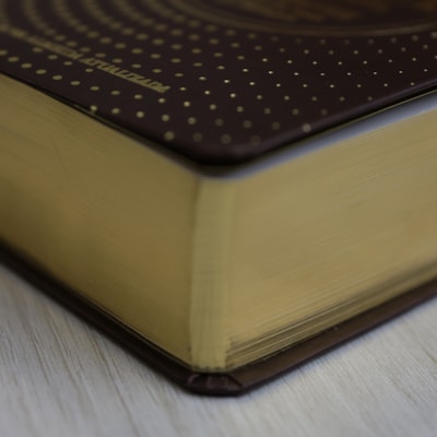 image_0e54afe9-30b9-4874-bdfc-224e2653beb6