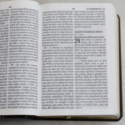 image_b8392c2b-bacf-47da-8629-5ed64ffb8127