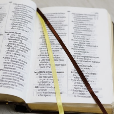 image_025f5d57-7e64-44ac-abc3-5e73db377819