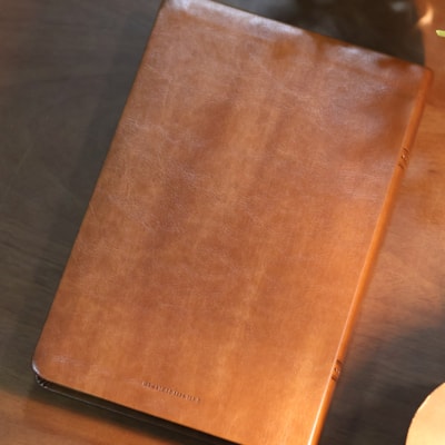 image_a3f53bc3-5934-4557-bfb2-85a18e40d3db