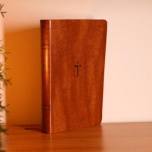 Segunda imagem do produto Bíblia Sagrada | NAA | Letra Gigante | Marrom