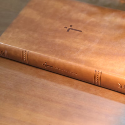 image_7492f74a-3ada-4d5e-b6e3-6c4be45cc425