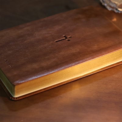 image_1ff133b2-056e-42c0-ba6e-0b41f90fdf8d