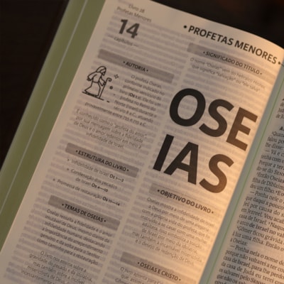 image_bb37eab0-f6f2-4d18-aa7f-c5bc85c4ca89