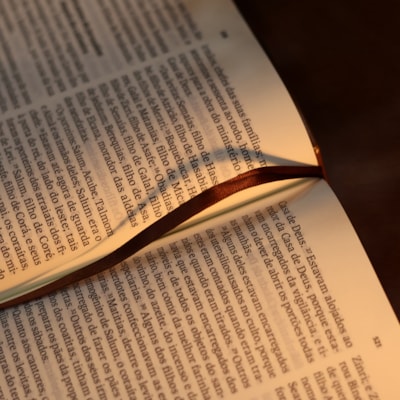 image_088e8f7f-b9ae-49cd-b8e5-911ebee79213