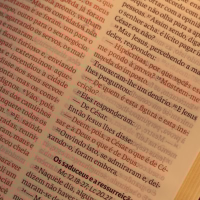 image_09a62a96-1103-4743-b668-c50995d1ca1f