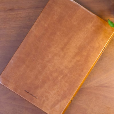 image_983941f4-ebdb-4255-a0d3-2f7c43c4e4a1