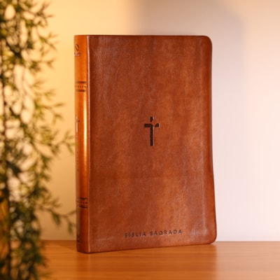 Segunda imagem do produto Bíblia Sagrada | NAA | Letra Gigante | Marrom Com Índice
