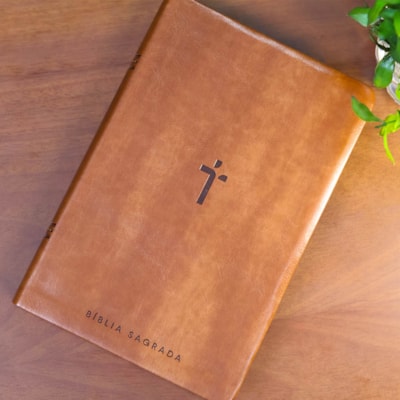 image_8423b040-2c8b-45bc-9f3b-69d972220453