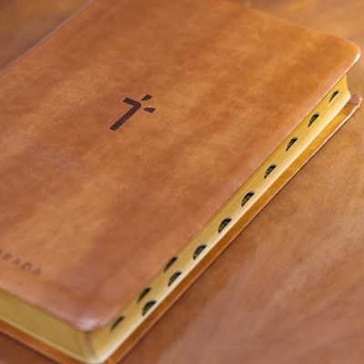 image_2f89fa65-d7f0-44c0-8a85-a419f11251be