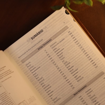 image_c28c3d67-e017-44c5-b5b7-31e56c8dfbe2