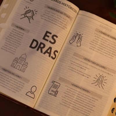 image_5943e78c-456f-412f-b6b6-29b9f0b3de4b