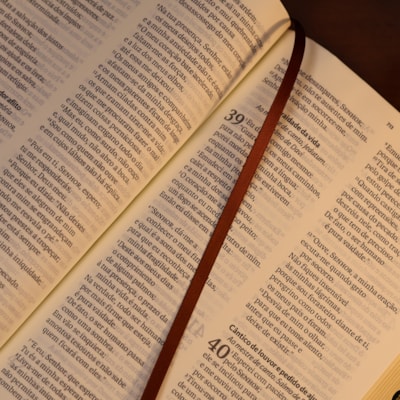 image_92e633ff-2937-4077-8c9b-bc51ce4ebde9