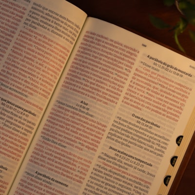 image_f0086855-f777-4e16-ba76-304eaf1aed0d