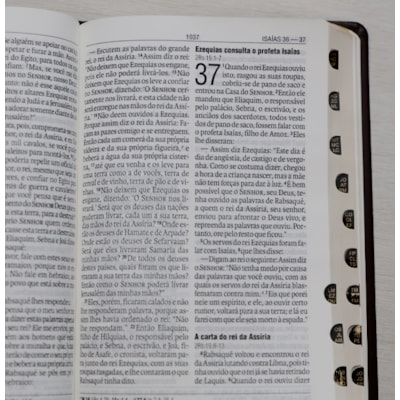 image_3345cc57-4a67-4a2d-9250-d3128f1cffac