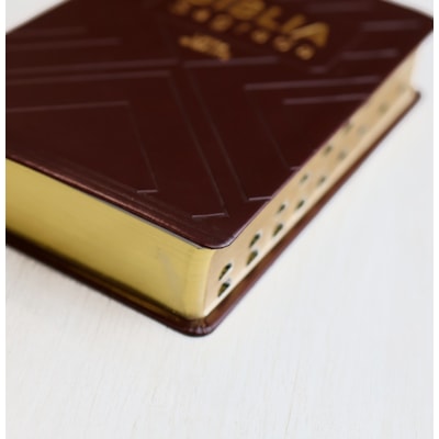 image_a7eb2a52-2226-4e4b-9282-f5c2ff187957