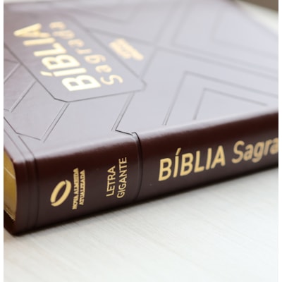 image_55e13158-c898-419e-b2f3-840cd129d496