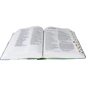 Bíblia Sagrada | NAA | Letra Gigante | NAA | Capa Reflexo Semi-flexível | c/ Índice