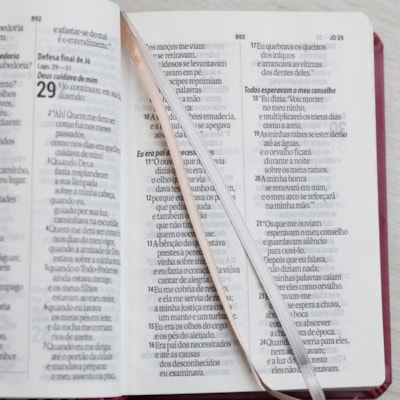 image_53bce65a-de55-4dab-9bcb-7d31c00e401b