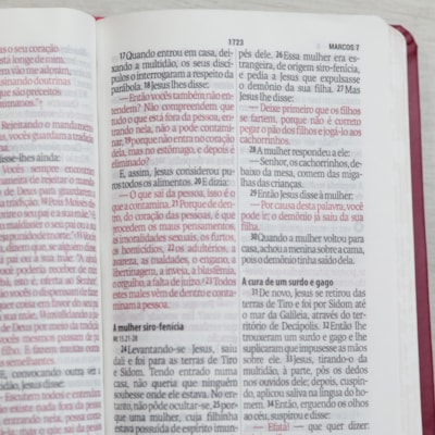 image_12fdc2c3-17ac-4ffd-8674-92a4d3e8c9aa