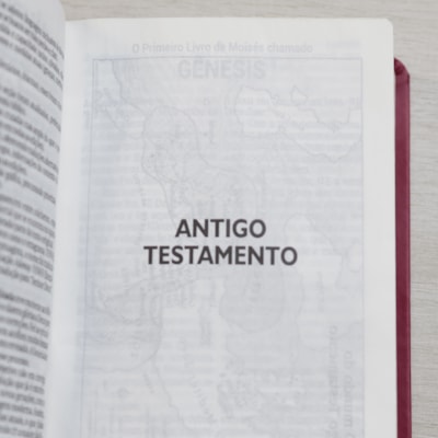 image_207e701b-d630-449c-aed9-78c51d1fe2a1