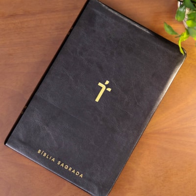 image_df9f562c-ba2e-4dca-b409-6fc866e972c3