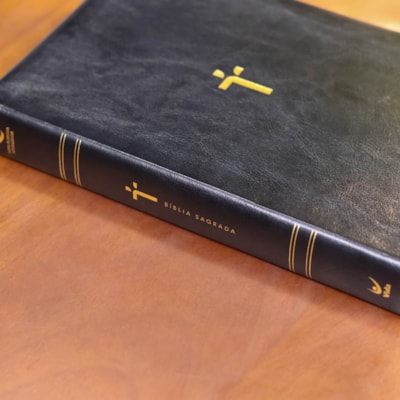 image_3d7c998d-44fa-4e87-80f8-06c608f267b3