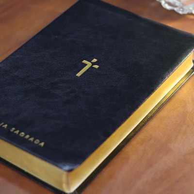 image_9502a7de-ebdf-4413-bb9f-7d67eecf3bca