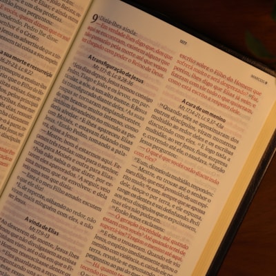 image_046f8541-7392-4569-8e56-53a1b8d91fed