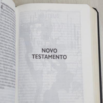 image_197c5d7a-672d-42af-adbf-3d6100040dec