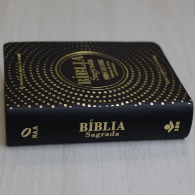 image_8759d536-95fc-4763-832f-7ad027588a9c