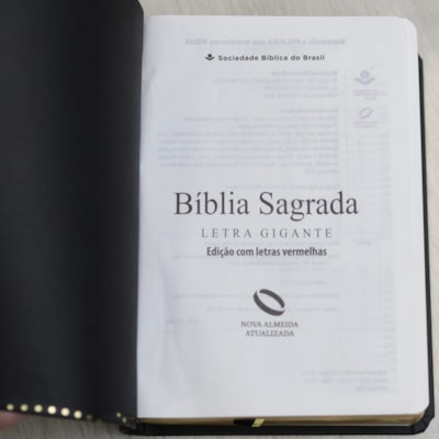 image_86cb1126-67b0-4da4-84dd-bd19e8853721