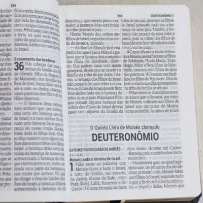 image_c66cc8a9-d2ff-4cb8-972e-1fb25b88649c