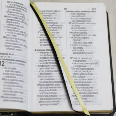 image_540f4199-9184-4165-9569-0b47ce2ee4d7