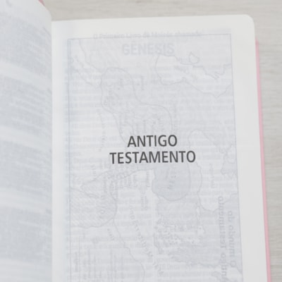 image_e1a55869-017e-4325-a210-a88b4423fc50