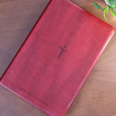 image_a9e41d5f-2aaf-4c04-bfea-45b76fb73c07