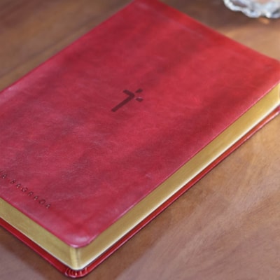 image_9d1baf22-3cf8-4a6a-a754-9b414f44b559