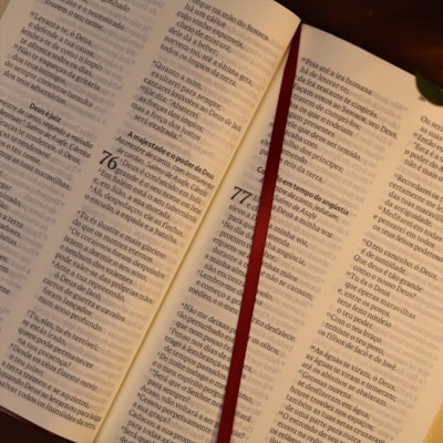 image_028f3238-7042-411e-873e-98ae6f0390da