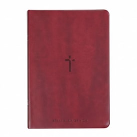 Bíblia Sagrada | NAA | Letra Gigante | Vinho Com Índice