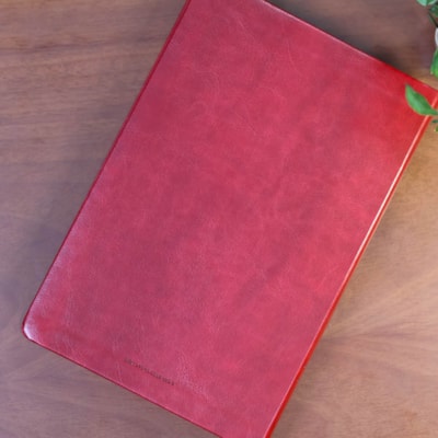 image_16d18cb9-4a52-4fb6-b316-8875e87e1014