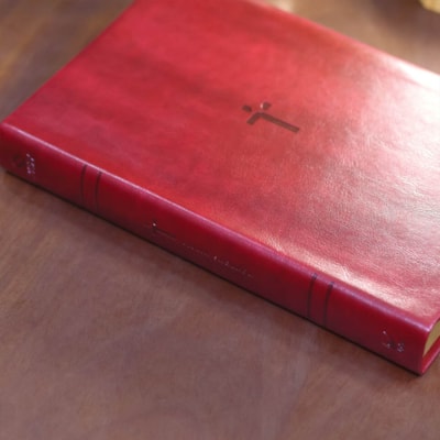 image_f953f2d8-24be-458e-a977-9a6073f996d1