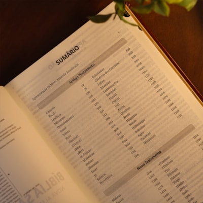 image_44e90fcc-d793-49d7-ad9b-3507dfd3724b