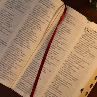 image_66cf5c84-246c-4ac4-8378-f9bd4d5168ec