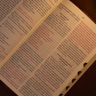 image_36da516d-b351-4a6f-a197-e70b7cb0a0e5